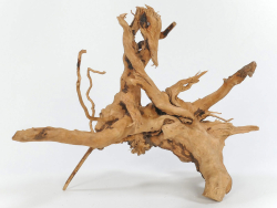 Finger-Wurzel für Aquarien und Teiche 1